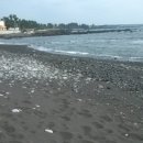 남원읍-29 이미지