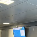 비엔헬스 | 3-4 (로우스마이애미비치호텔/CVI.CHE105/KITH/고든램지헬스키친/리틀하바나/배이프론트파크/도미노파크)