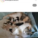 소소한 이슈가 잔뜩...04월