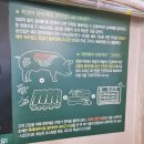 율전동 291~율전동 295-1 | 성대역맛집 구워주는쪽갈비 내돈내산 부라보쪽갈비 후기