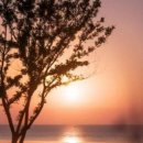 카페보리 이미지