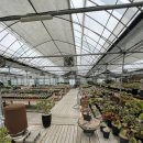 인수다육 이미지