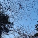 세무서.도청입구.신용회복위원회(03038) 이미지