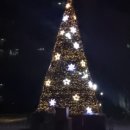 시츄언니 이미지