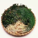 피트니스봄 이미지