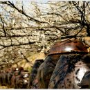 아폴론 LPG충전소 이미지