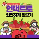 홍홍사과