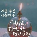 11월15일(목) 신문을 통해 알게된 이야기들 이미지