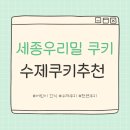 댕슐랭 수제간식 연구소 | 세종 우리밀 수제 쿠키 세트 후기 - 천연재료로 만든 수제 쿠키 아이간식 추천