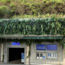 우주카월드 | 제주 서귀포 실내 가볼만한곳 추천! 제주투어패스로 다녀온 워터월드 제주 후기