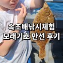 만선8 | 속초배낚시체험 장사항 모래기배낚시 8살 아이랑 만선 후기 멀미 걱정 제로