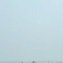 락 | [당진]당진맛집 당진해물장 로드락 내돈내산 후기