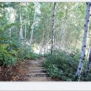 미숭산자연휴양림 이미지