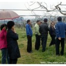 손동수농장 이미지