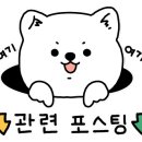 해운대 BMW-동성모터스 이미지