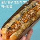 좋은아침김밥 | 울산 동구 맛집 일산지 바삭김밥 바다향 가득한 멍게폭탄김밥 꼭 먹어봐