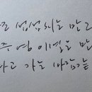 텃밭2