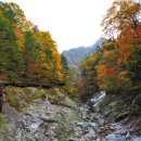 십이선여탕 이미지