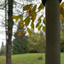 한국폴리텍 특성화대학 항공캠퍼스 이미지