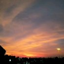 하나태평양약국 이미지