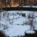 봉평마을회관 이미지