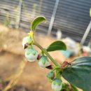 비당농장 이미지