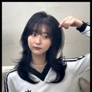 센텀5로 이미지