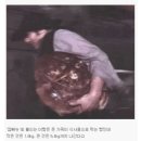 중앙장사우나;중앙장여관 | 레미제라블 뮤지컬 후기 (블루스퀘어 신한카드홀)