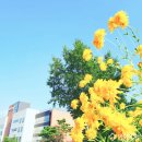 의료법인 시원의료재단 이미지