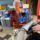 마리펫 | 첫째날 속초관광수산시장/바다정원/청호활어회센터/속초대게천국/속초마리비스타호텔 펫룸 내돈내산 후기 !