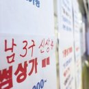 강남-245 이미지