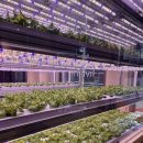 리브팜 압구정 | 샐러드 포케 맛집 리브팜 압구정점