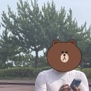 제비2리 | [백수일기] 서른여덟 번째 _ 갑자기 강릉