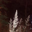 온스타-17호 태양광발전소 | 2020-10-17 호남정맥22-2구간(슬치-염암재)(청유람님 공지)