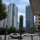뿌리라네 | 강남구청역 미용실 비오른헤어 반곱슬머리 뿌리매직 후기