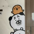 여름의 농담곰을 좋아하세요? 연도문구 농담곰 굿즈 구매후기