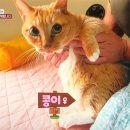 기봉이 농장 이미지