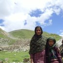 로시난테 이미지