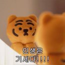 탑티어프랩영어학원 | 성공적인 12월