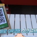 시나이글로벌