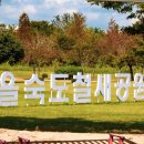 을숙도 철새공원 티스토리