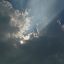 우슈체육관 이미지