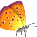 여행(Travel) 이미지