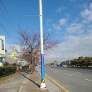 삼광주유소 이미지