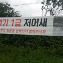 관곡지약국 Daum카페