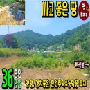 여주-0623 네이버블로그