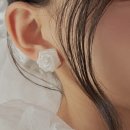 우기몰