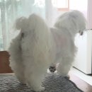 울디 동물병원 이미지