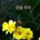 웃음약국 이미지
