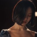 숲속헤어